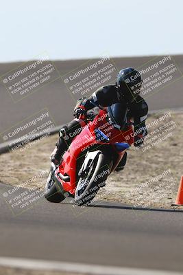 media/Nov-02-2025-Lets Ride (Sun) [[f7a3caa734]]/C Group/1240pm (Turn 2 Outside)/